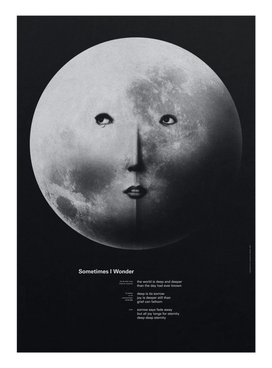 Sometimes I Wonder poster by Meinhard Taxer